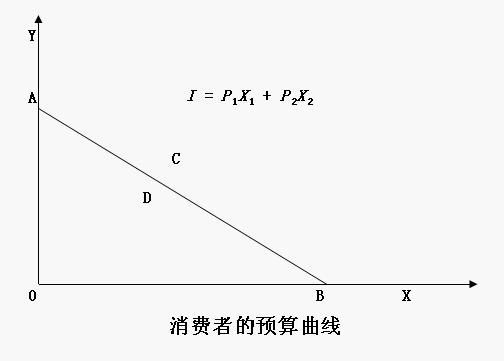 消費(fèi)者預(yù)算線(圖1)