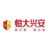 恒大興安品牌故事-logo設(shè)計(jì)分析(圖1)
