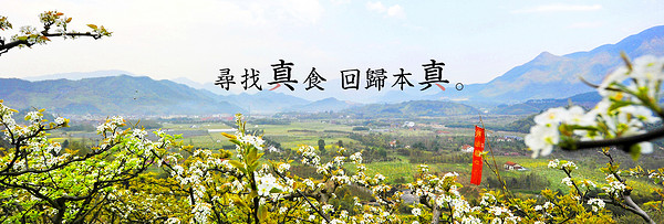 真食約定品牌故事-logo設(shè)計(jì)分析(圖2)