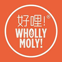好哩！品牌故事-logo設(shè)計分析(圖1)