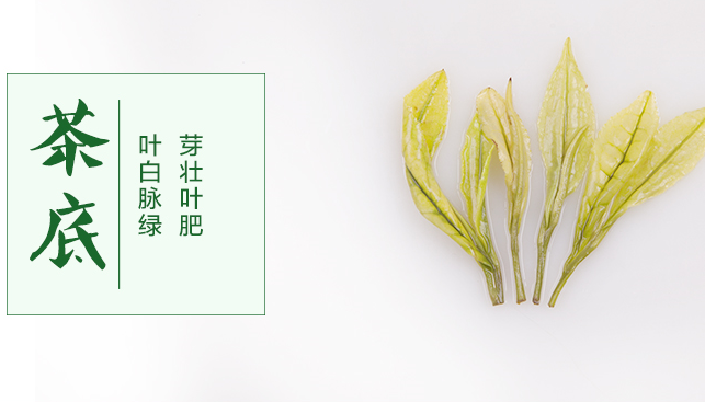 巴蜀玉葉品牌logo與產(chǎn)品包裝設(shè)計欣賞(圖2)