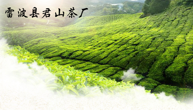 黃瑯雪芽品牌logo與食品包裝設(shè)計欣賞(圖3)