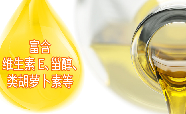香達(dá)人品牌logo與食品包裝設(shè)計(jì)欣賞(圖3)