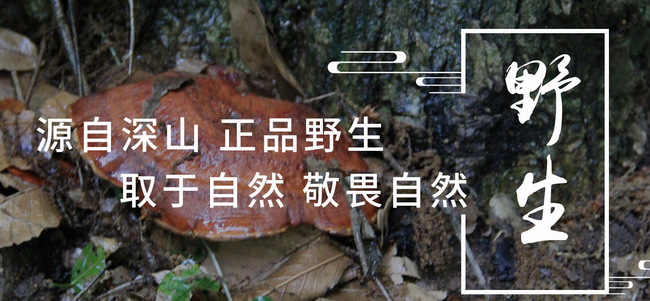 黃山云樂(lè)食品包裝設(shè)計(jì)欣賞(圖2)