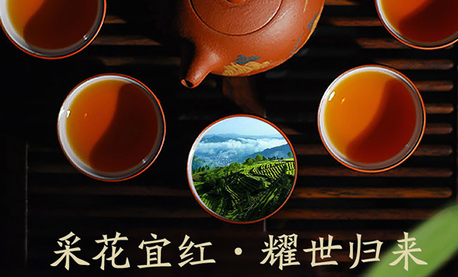 采花食品包裝設(shè)計(jì)欣賞(圖4)