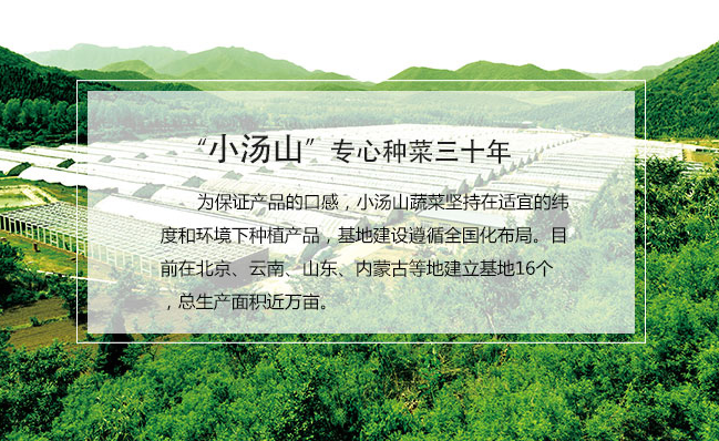 小湯山食品包裝設(shè)計(jì)欣賞(圖3)